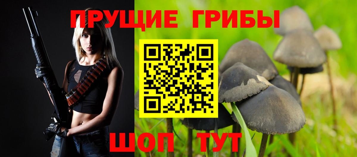 продажа наркотиков  Вход с VPN  Кашира  Галлюциногенные грибы Psilocybe 